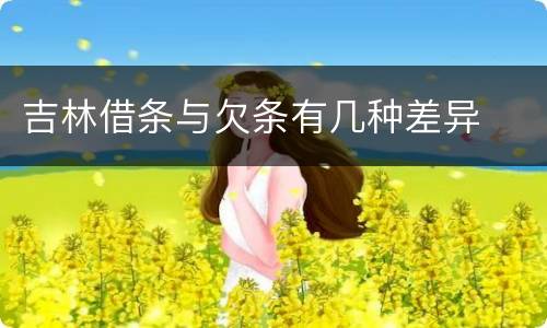 吉林借条与欠条有几种差异