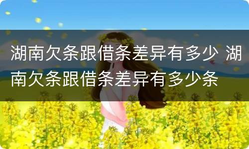 湖南欠条跟借条差异有多少 湖南欠条跟借条差异有多少条