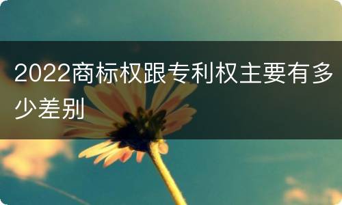 2022商标权跟专利权主要有多少差别