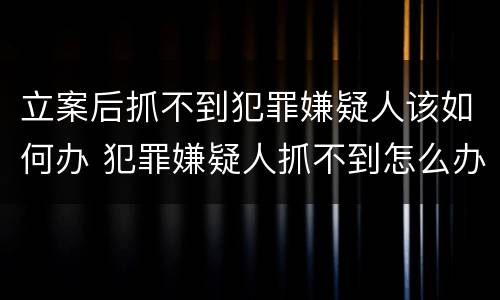 立案后抓不到犯罪嫌疑人该如何办 犯罪嫌疑人抓不到怎么办