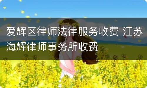 爱辉区律师法律服务收费 江苏海辉律师事务所收费