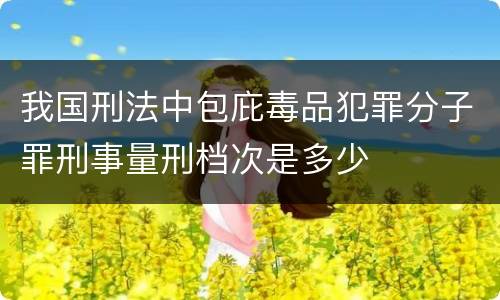 我国刑法中包庇毒品犯罪分子罪刑事量刑档次是多少