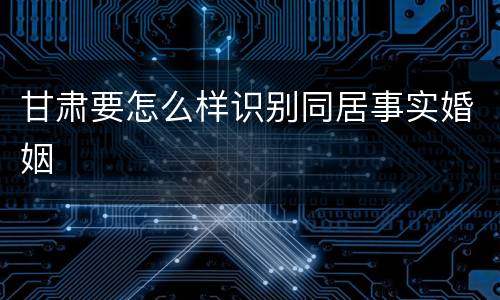 甘肃要怎么样识别同居事实婚姻