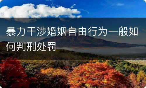 暴力干涉婚姻自由行为一般如何判刑处罚