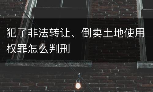 犯了非法转让、倒卖土地使用权罪怎么判刑