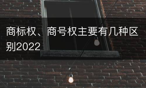 商标权、商号权主要有几种区别2022