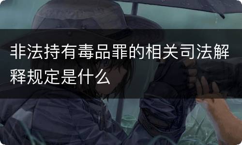 非法持有毒品罪的相关司法解释规定是什么