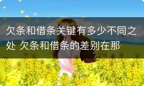 欠条和借条关键有多少不同之处 欠条和借条的差别在那