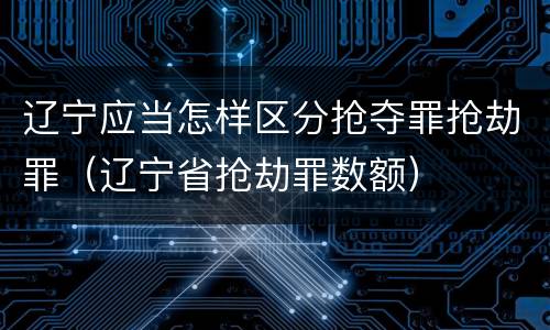 辽宁应当怎样区分抢夺罪抢劫罪（辽宁省抢劫罪数额）