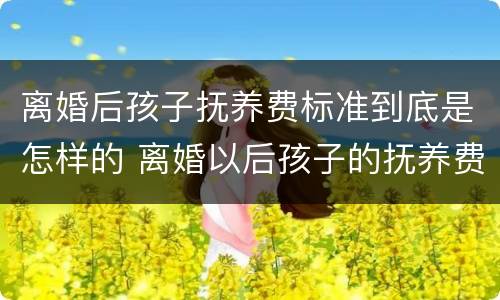 离婚后孩子抚养费标准到底是怎样的 离婚以后孩子的抚养费怎么算,标准多少