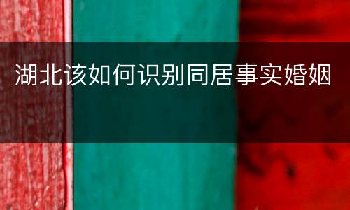湖北该如何识别同居事实婚姻