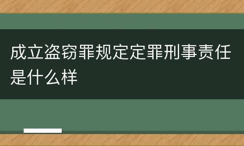 成立盗窃罪规定定罪刑事责任是什么样