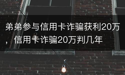 弟弟参与信用卡诈骗获利20万，信用卡诈骗20万判几年
