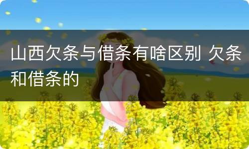 山西欠条与借条有啥区别 欠条和借条的