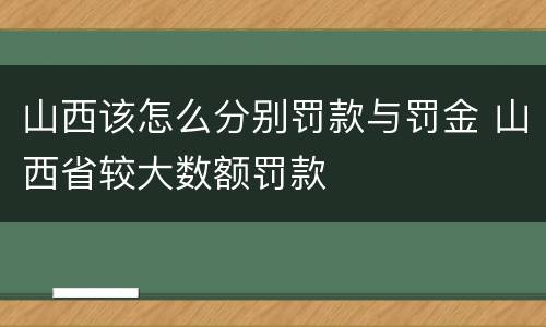 山西该怎么分别罚款与罚金 山西省较大数额罚款