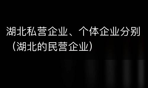 湖北私营企业、个体企业分别（湖北的民营企业）
