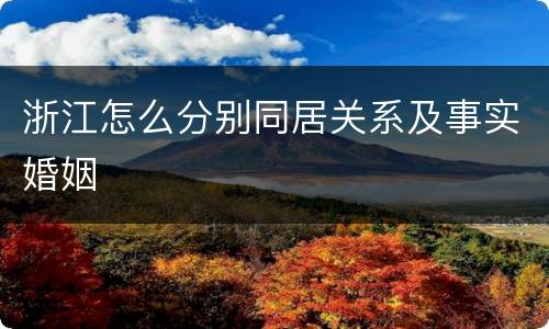 浙江怎么分别同居关系及事实婚姻