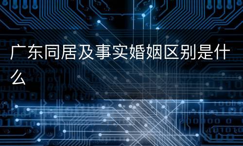 广东同居及事实婚姻区别是什么
