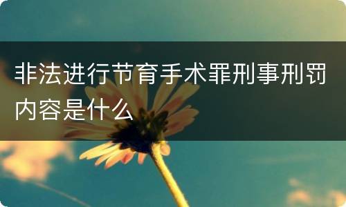 非法进行节育手术罪刑事刑罚内容是什么