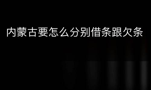 内蒙古要怎么分别借条跟欠条