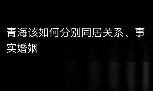 青海该如何分别同居关系、事实婚姻