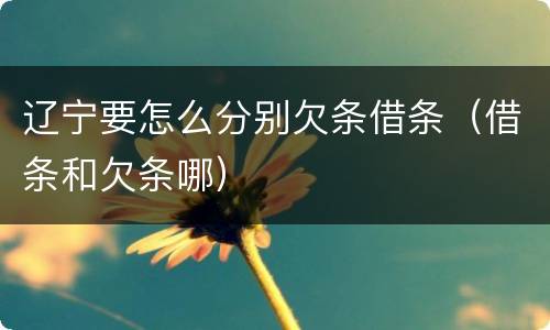 辽宁要怎么分别欠条借条（借条和欠条哪）