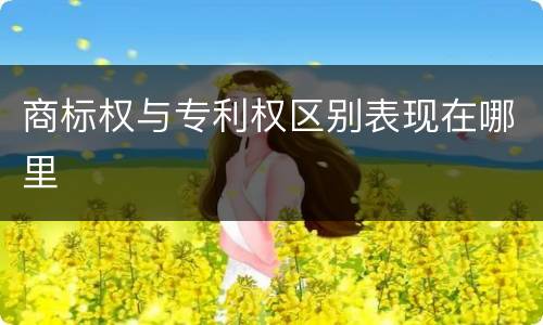 商标权与专利权区别表现在哪里