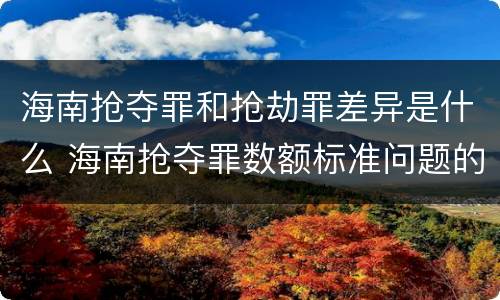 海南抢夺罪和抢劫罪差异是什么 海南抢夺罪数额标准问题的规定