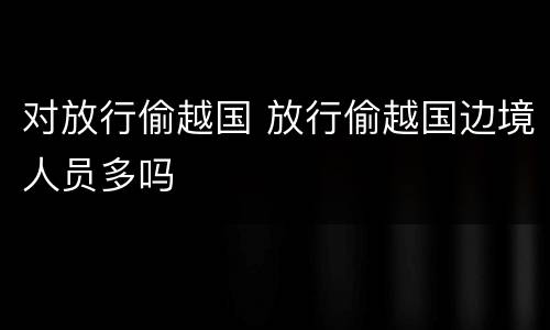 对放行偷越国 放行偷越国边境人员多吗