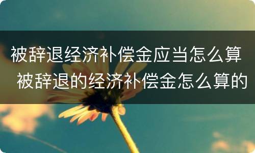 被辞退经济补偿金应当怎么算 被辞退的经济补偿金怎么算的