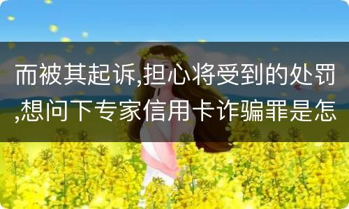 而被其起诉,担心将受到的处罚,想问下专家信用卡诈骗罪是怎样判罚的