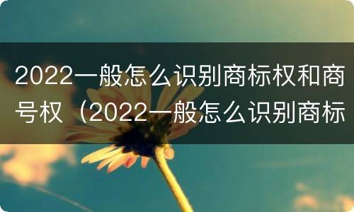 2022一般怎么识别商标权和商号权（2022一般怎么识别商标权和商号权的区别）