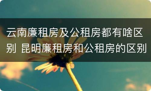 云南廉租房及公租房都有啥区别 昆明廉租房和公租房的区别