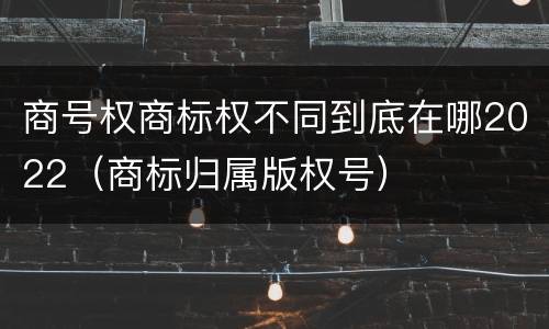 商号权商标权不同到底在哪2022（商标归属版权号）