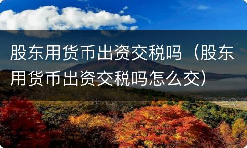 股东用货币出资交税吗（股东用货币出资交税吗怎么交）