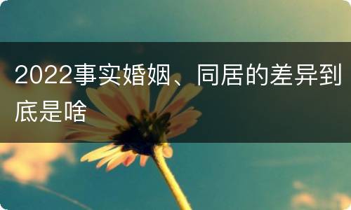 2022事实婚姻、同居的差异到底是啥