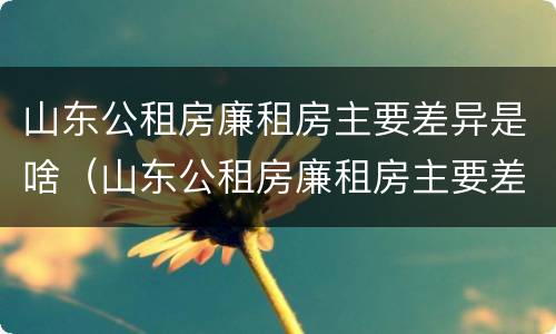 山东公租房廉租房主要差异是啥（山东公租房廉租房主要差异是啥呢）