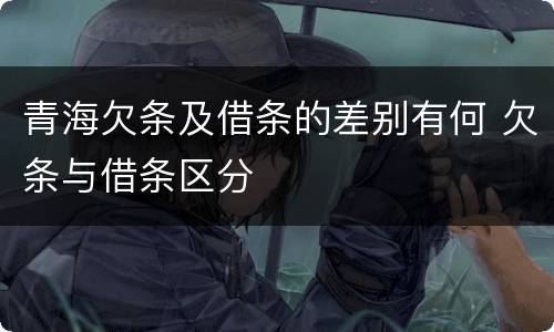青海欠条及借条的差别有何 欠条与借条区分