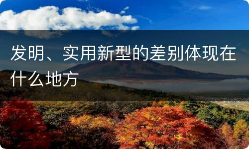 发明、实用新型的差别体现在什么地方