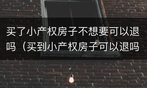 买了小产权房子不想要可以退吗（买到小产权房子可以退吗）