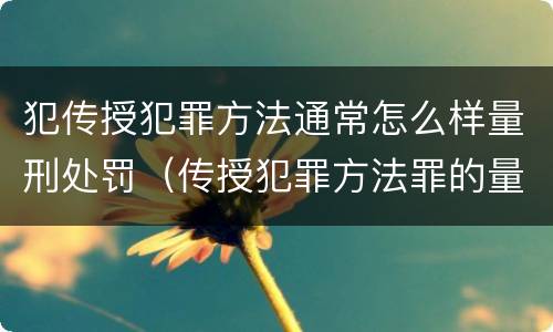 犯传授犯罪方法通常怎么样量刑处罚（传授犯罪方法罪的量刑）