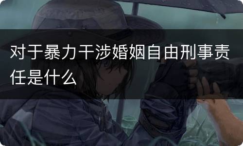 对于暴力干涉婚姻自由刑事责任是什么