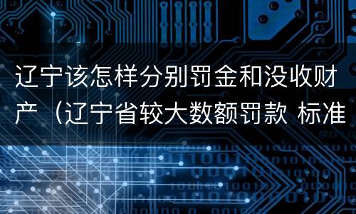 辽宁该怎样分别罚金和没收财产（辽宁省较大数额罚款 标准）