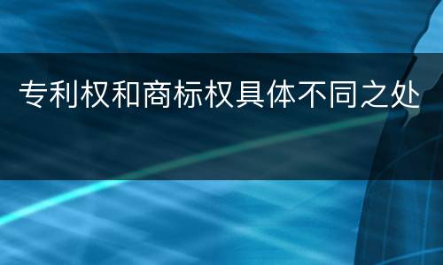 专利权和商标权具体不同之处