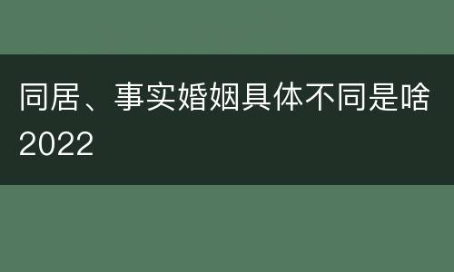 同居、事实婚姻具体不同是啥2022