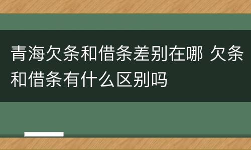 青海欠条和借条差别在哪 欠条和借条有什么区别吗
