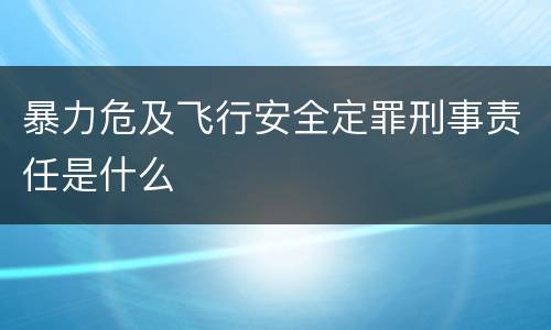 暴力危及飞行安全定罪刑事责任是什么