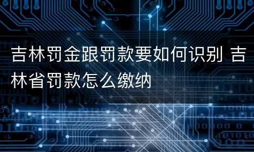 吉林罚金跟罚款要如何识别 吉林省罚款怎么缴纳