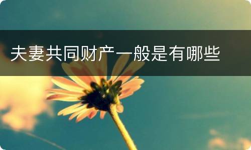 夫妻共同财产一般是有哪些