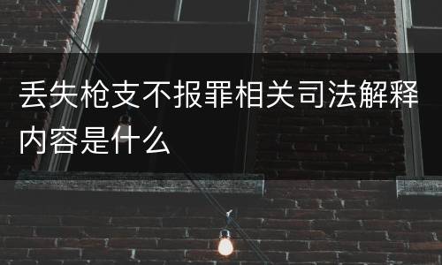 丢失枪支不报罪相关司法解释内容是什么